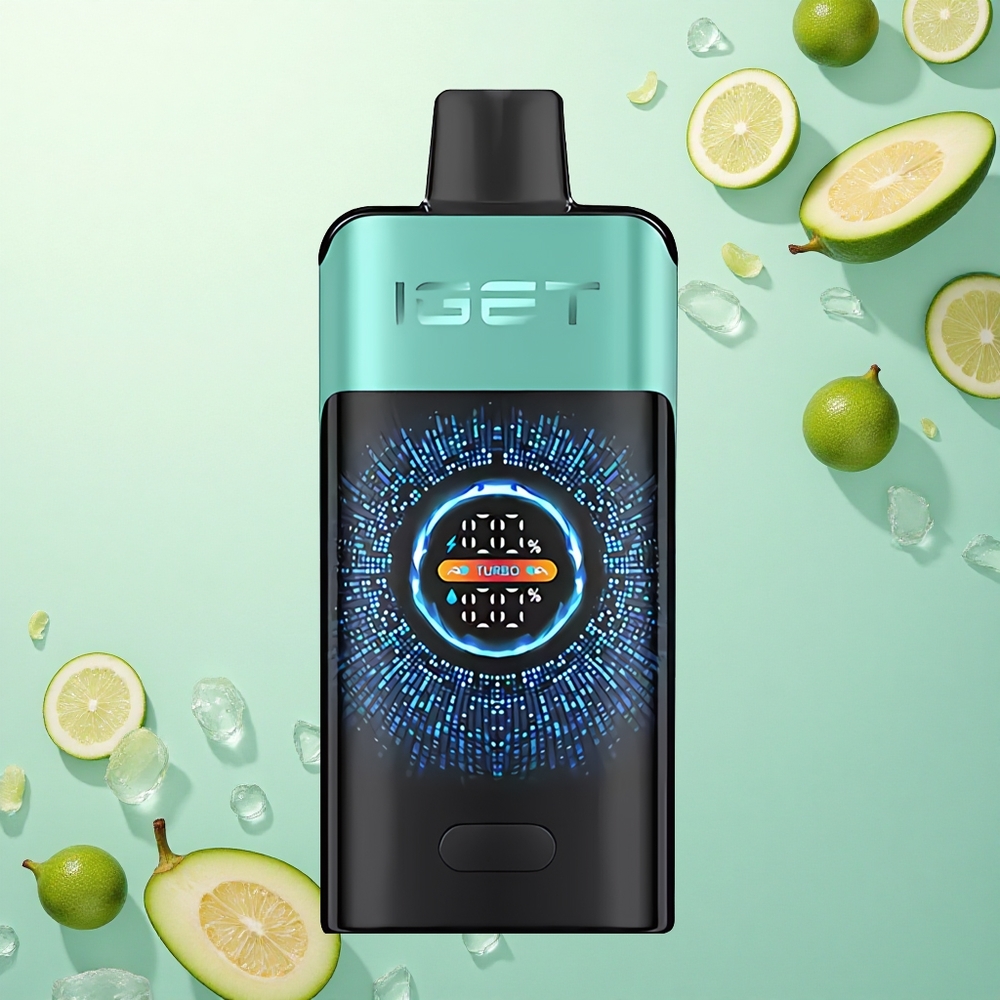 IGET ONE 12000 Puffs Bergbron Muntijs Vape met 2700 mAh en Dual Mesh Coil