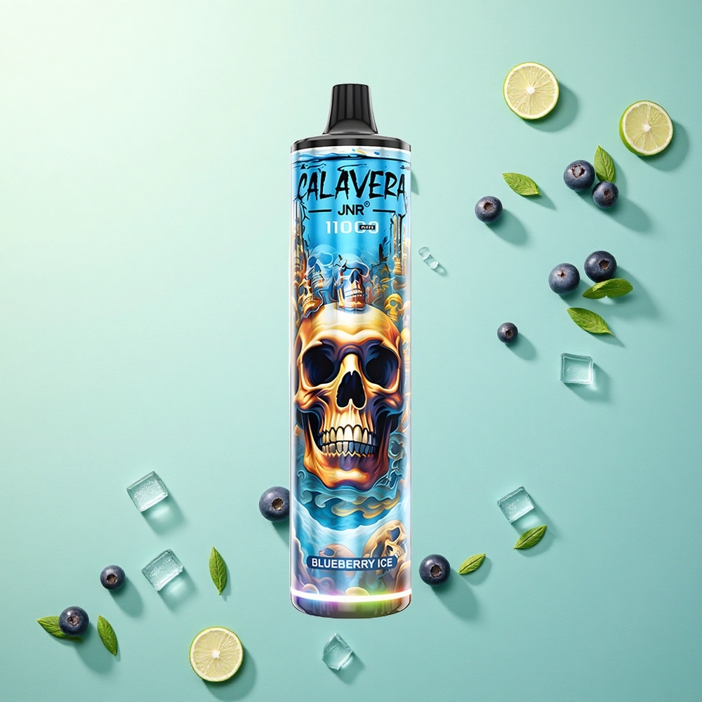 JNR Calavera 11000 Bosbes IJs Type-C 850mAh 21ml