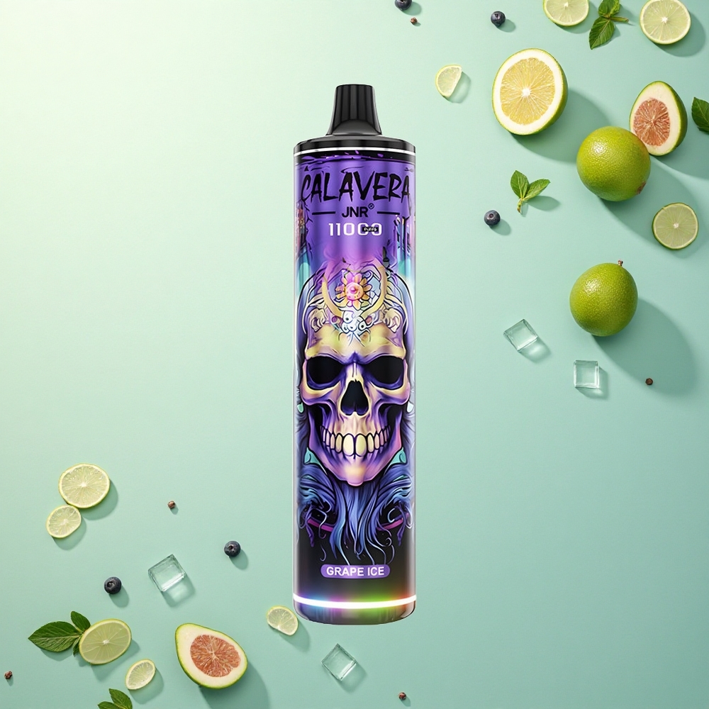 JNR Calavera 11000 Druif IJs Type-C 850 mAh 21ml