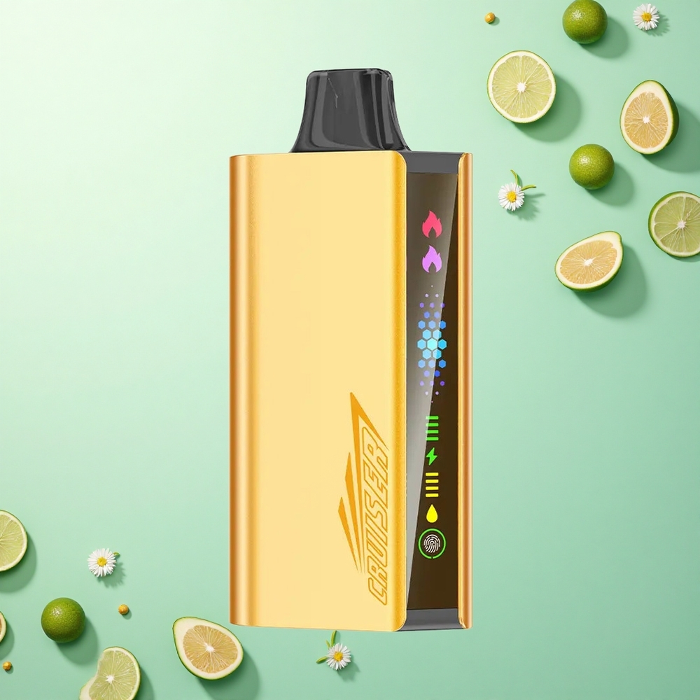 JNR Cruiser 12000 Koel Munt Dual Mesh 3500 mAh 50mg Nicotine