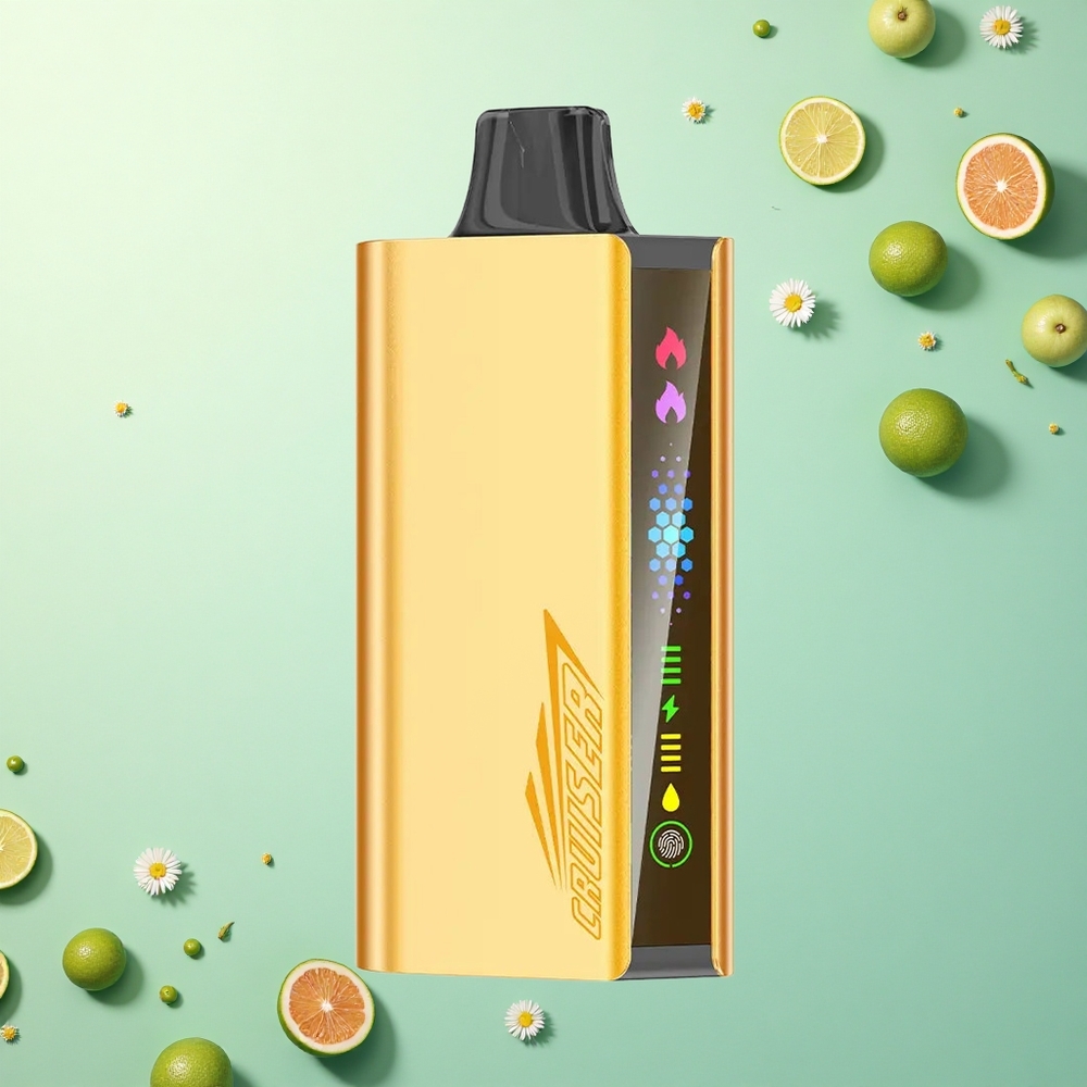 JNR Cruiser 12000 Koele Fanta Dual Mesh Metaal 3500 mAh