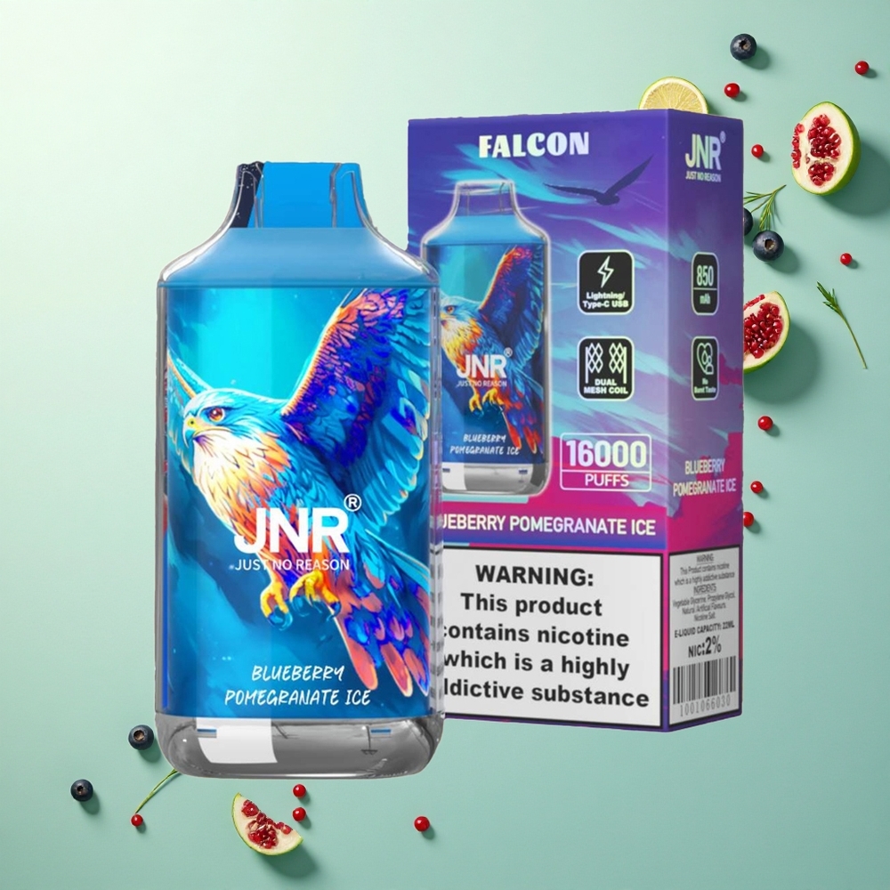 JNR Falcon 16000 Blauwebes Granaatappel IJs met Dual Mesh Coil en 850 mAh