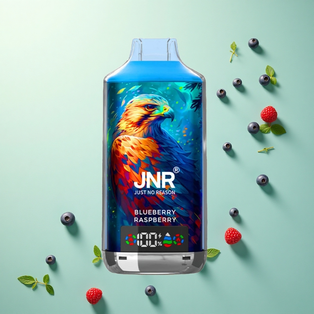 JNR Falcon X 18000 Blauwe Bes Framboos Dual Mesh Coil 750mAh