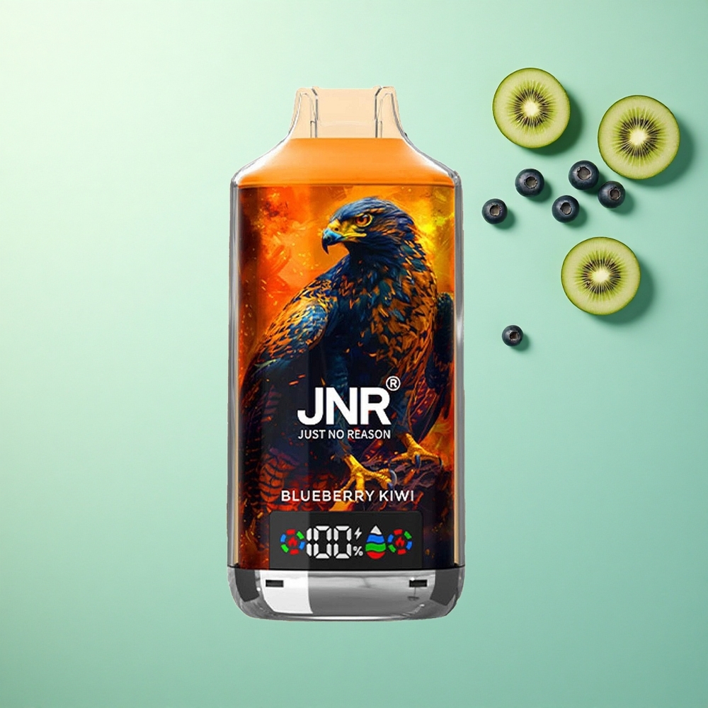 JNR Falcon X 18000 Blauwe Bes Kiwi 750mAh Dual Mesh Coil