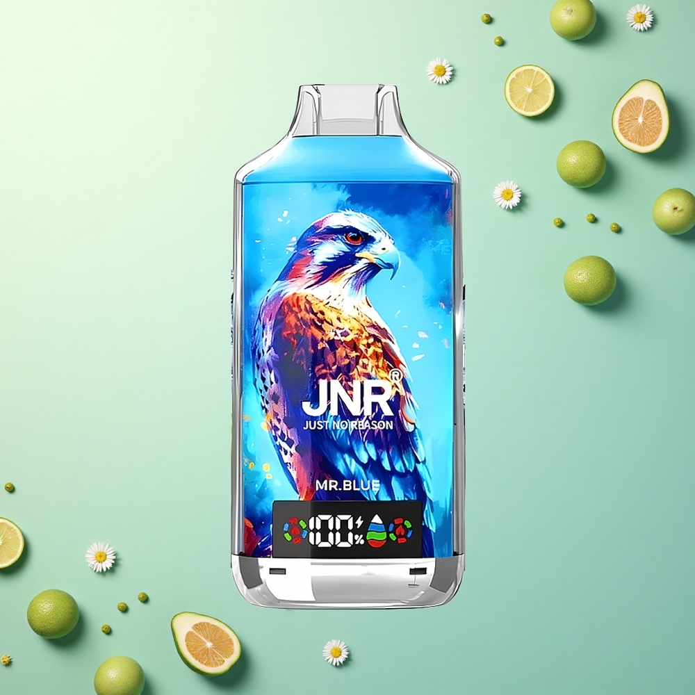 JNR Falcon X 18000 De Blauwe Heer Dual Mesh Coil 750mAh Type-C