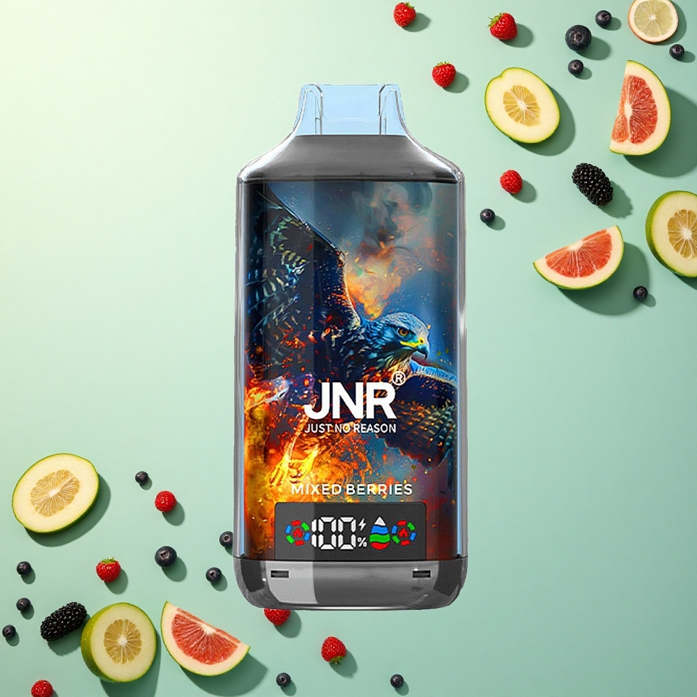 JNR Falcon X 18000 Gemengde Bessen Dual Mesh Coil 750mAh Type-C