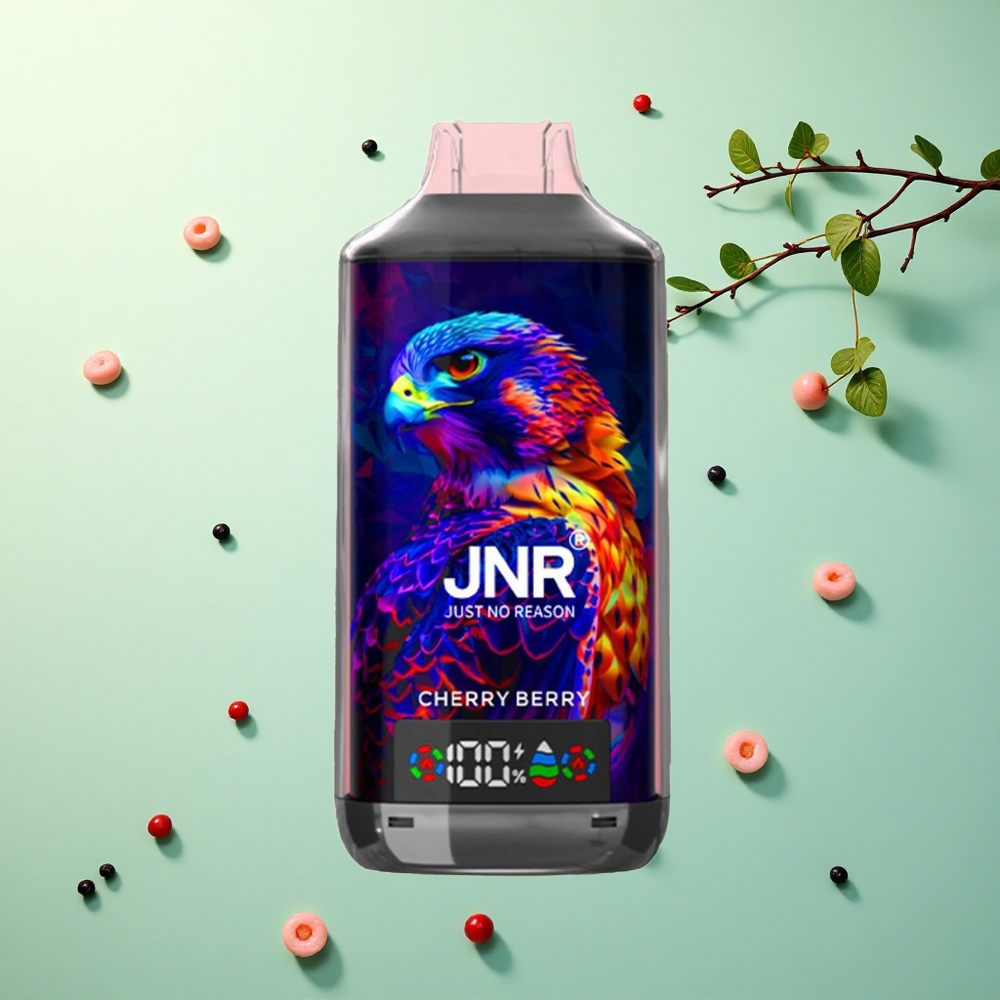 JNR Falcon X 18000 Kersbes 750mAh Dual Mesh