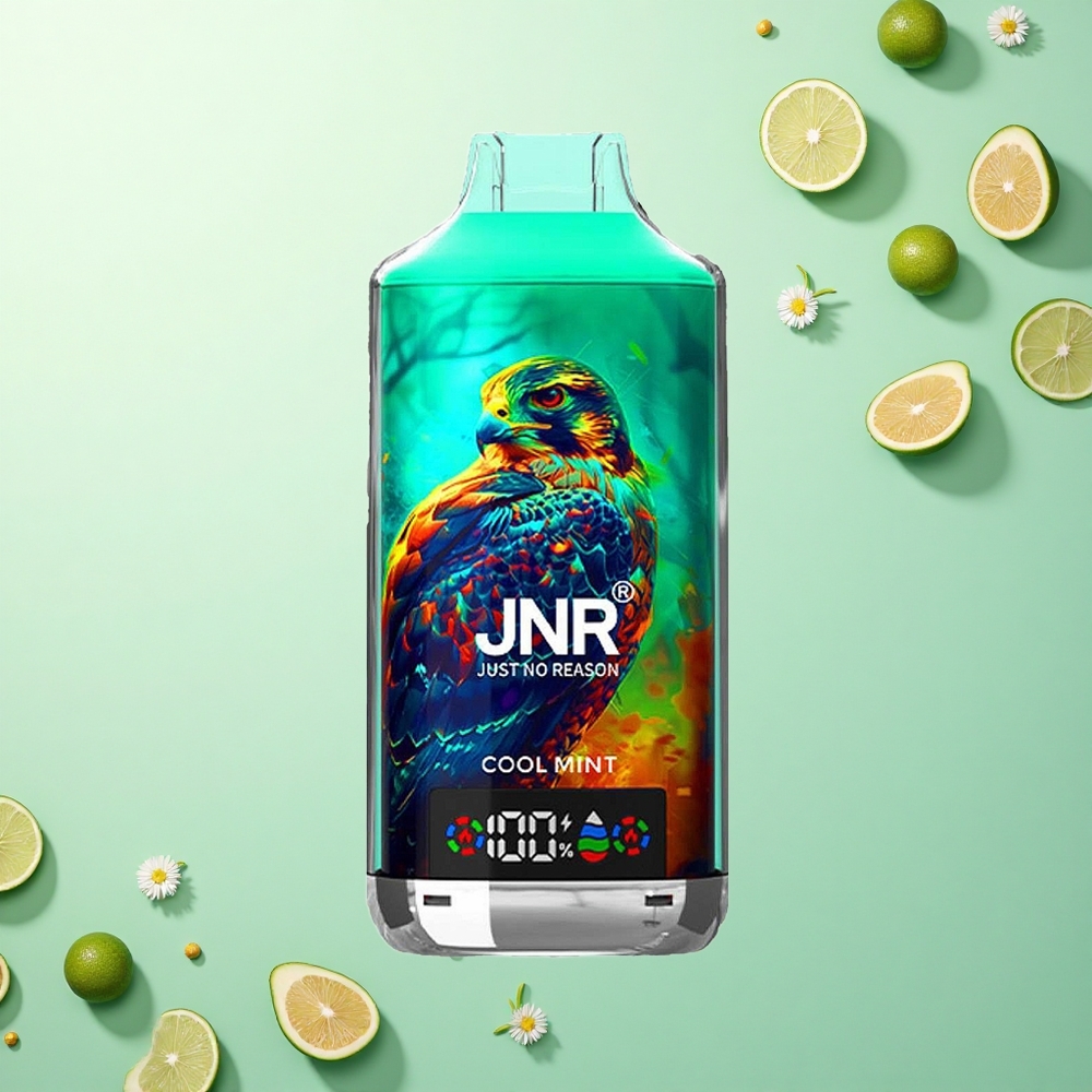 JNR Falcon X 18000 Koel Munt 750mAh Dual Mesh