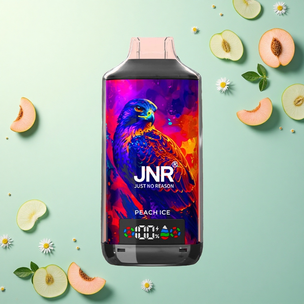 JNR Falcon X 18000 Perzik IJs Dual Mesh Coil 24ml