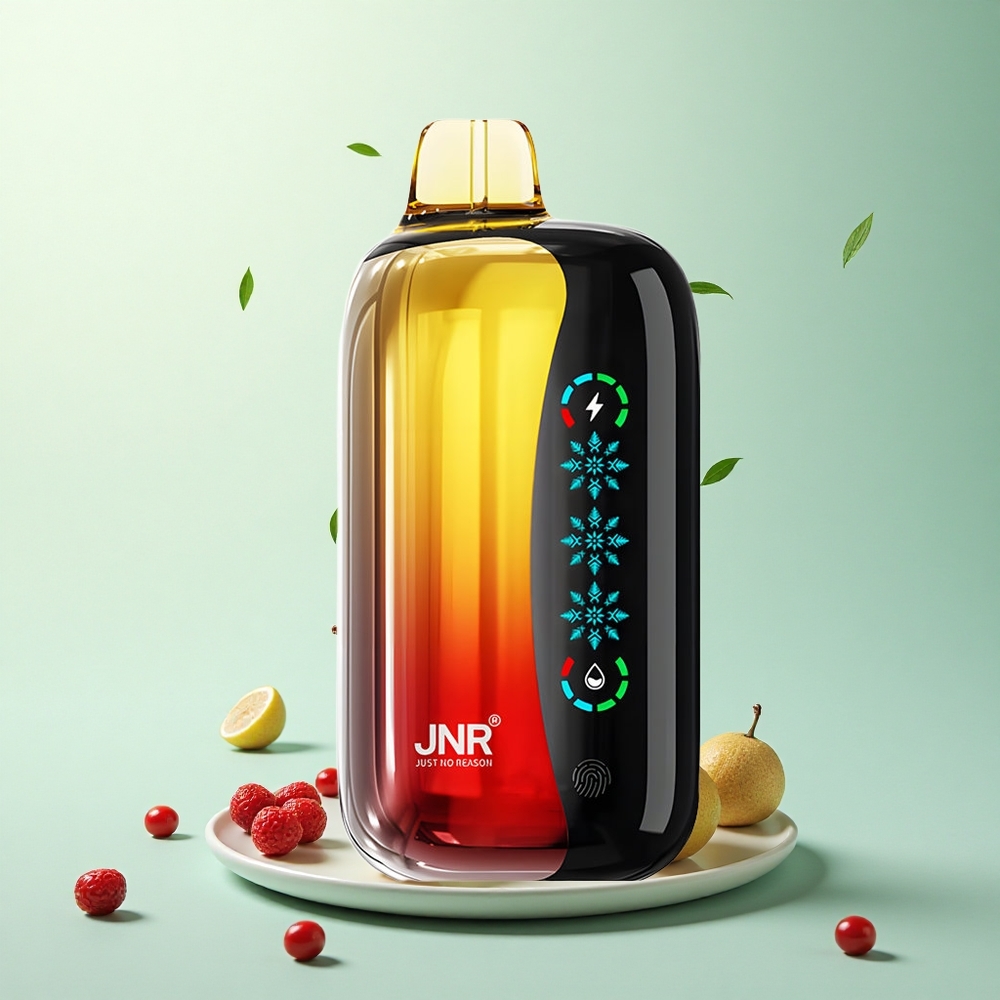 JNR Flex Ice 21000 Kers Cola Aanpasbare IJs 1000mAh Type-C Opladen