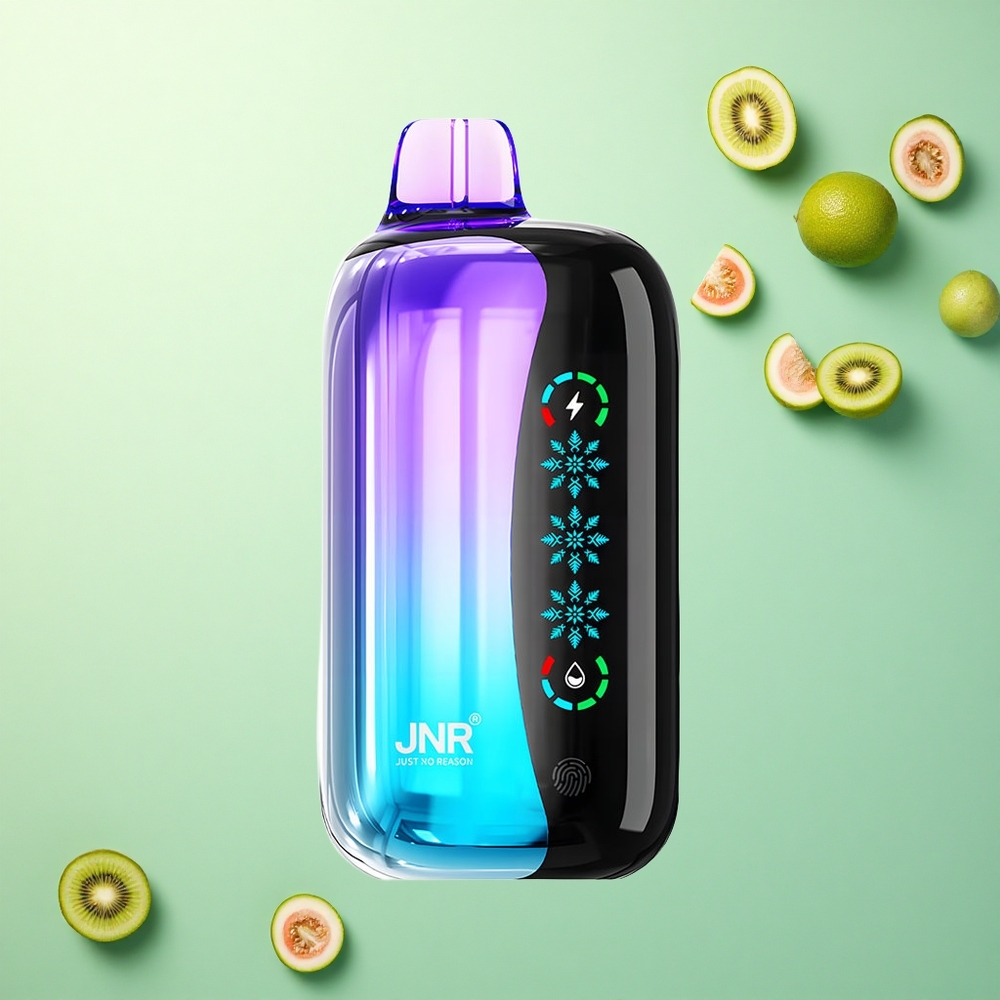 JNR Flex Ice 21000 Kiwi Passievrucht Guava Aanpasbare IJs 1000mAh Type-C Oplaadpoort
