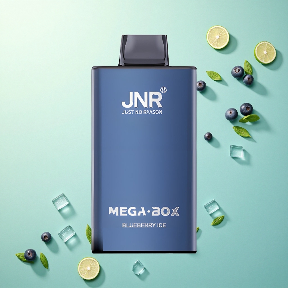 JNR Mega Box 25000 Blauwe Bes IJs 30ml 850mAh 2% Nicotine