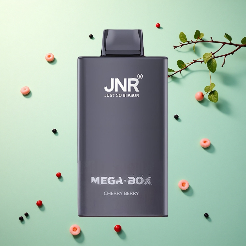 JNR Mega Box 25000 Kersbes 30ml Dual Mesh 850mAh