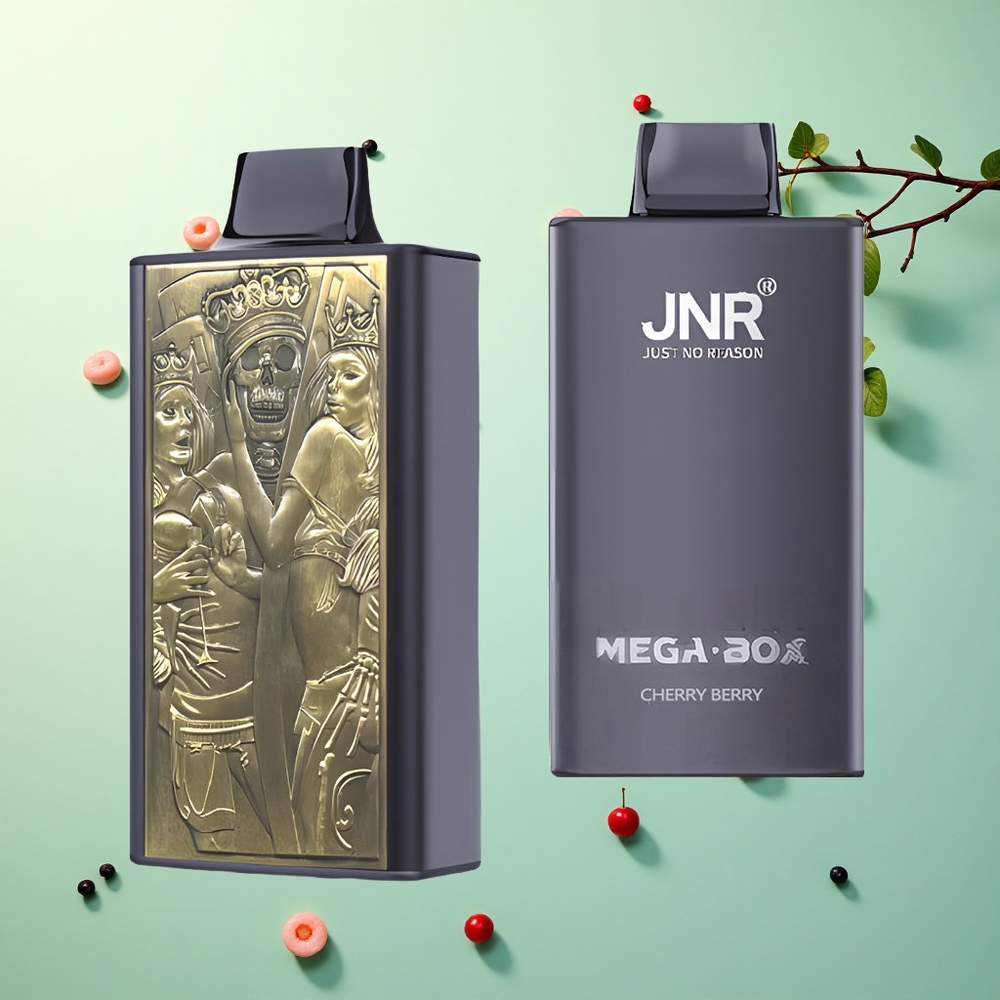 JNR Mega Box 25000 Kersbes 30ml Dual Mesh 850mAh