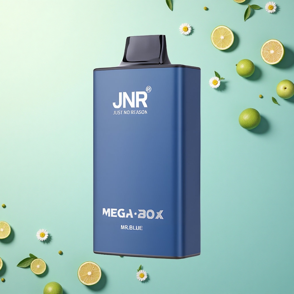 JNR Mega Box 25000 Meneer Blauw 30ml 850mAh Dual Mesh