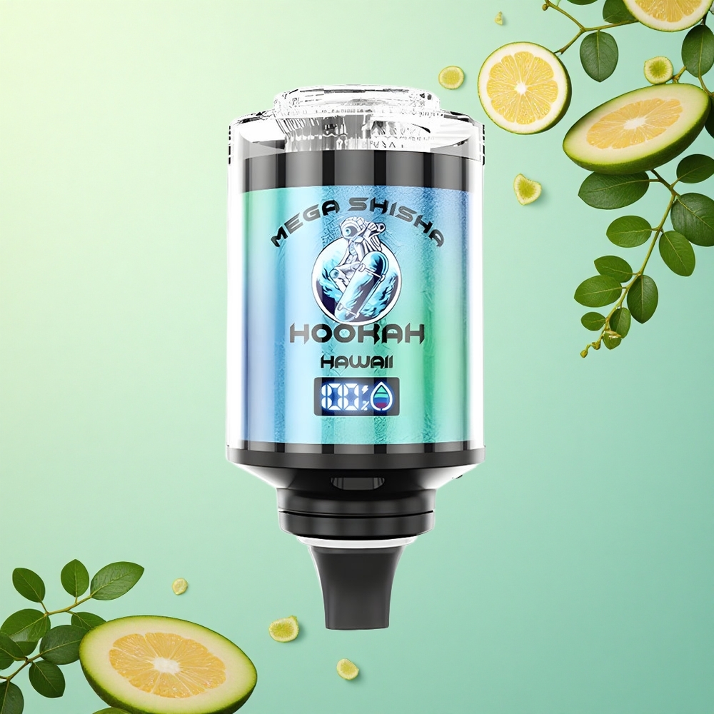 JNR Mega Shisha Hookah 100K Hawaii 60ml e-Liquid 2200mAh Nicotine 2%