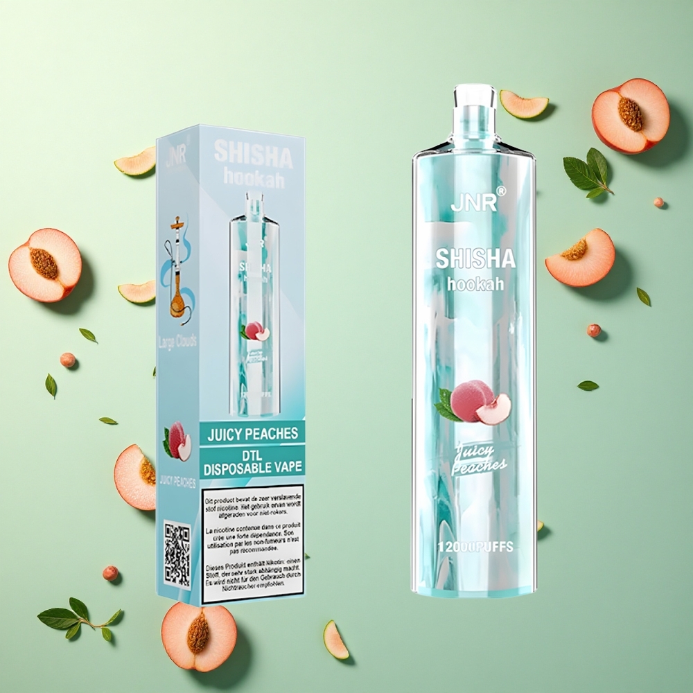 JNR Shisha Hookah 12000 Sappige Perziken 750mAh Type-C